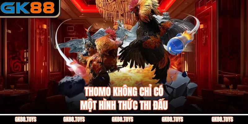 Thomo không chỉ có một hình thức thi đấu 